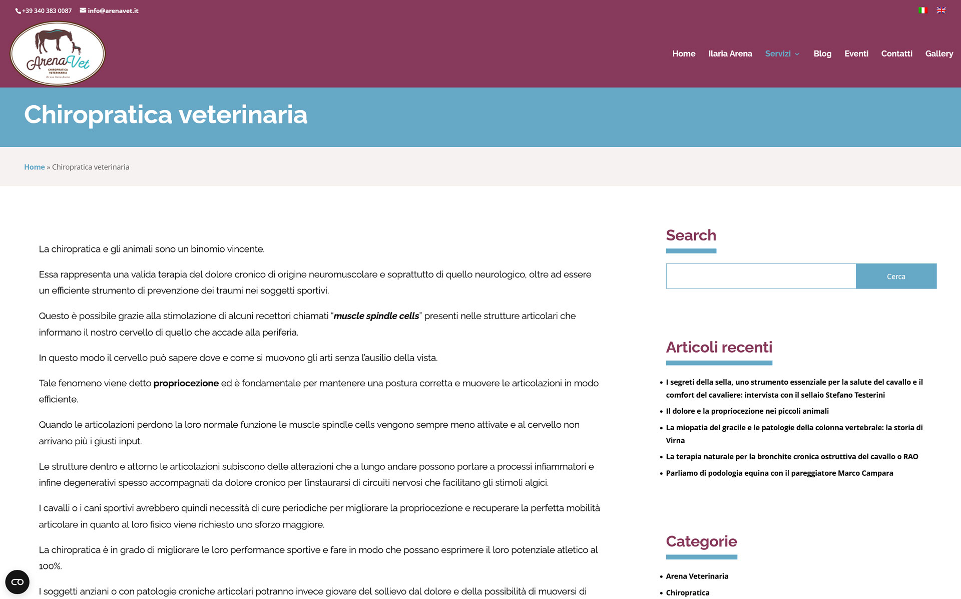 lv-design-realizzazione-siti-web-bologna-portfolio-arena-veterinaria-2022-slide-3