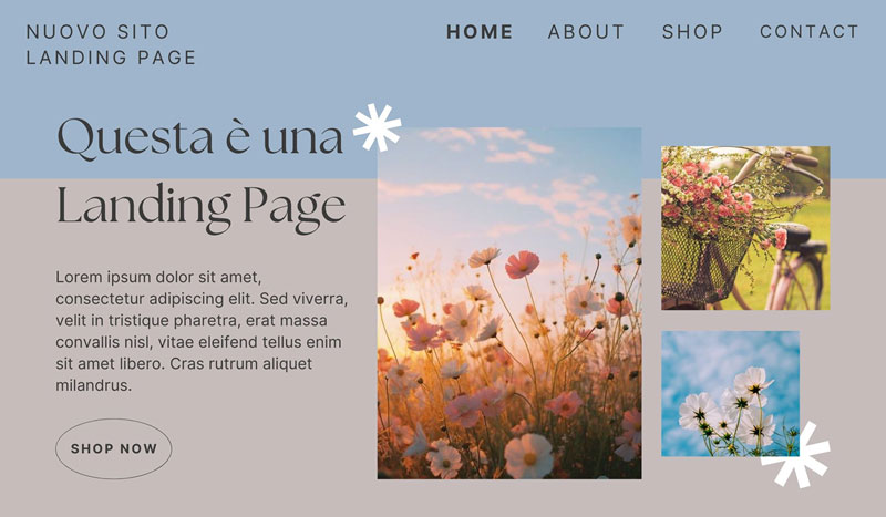 che-cosa-e-una-landing-page-lv-design-web-agency-bologna-1