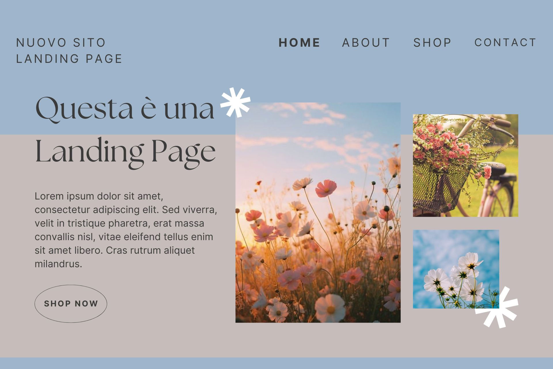 Che cosa è una Landing Page?